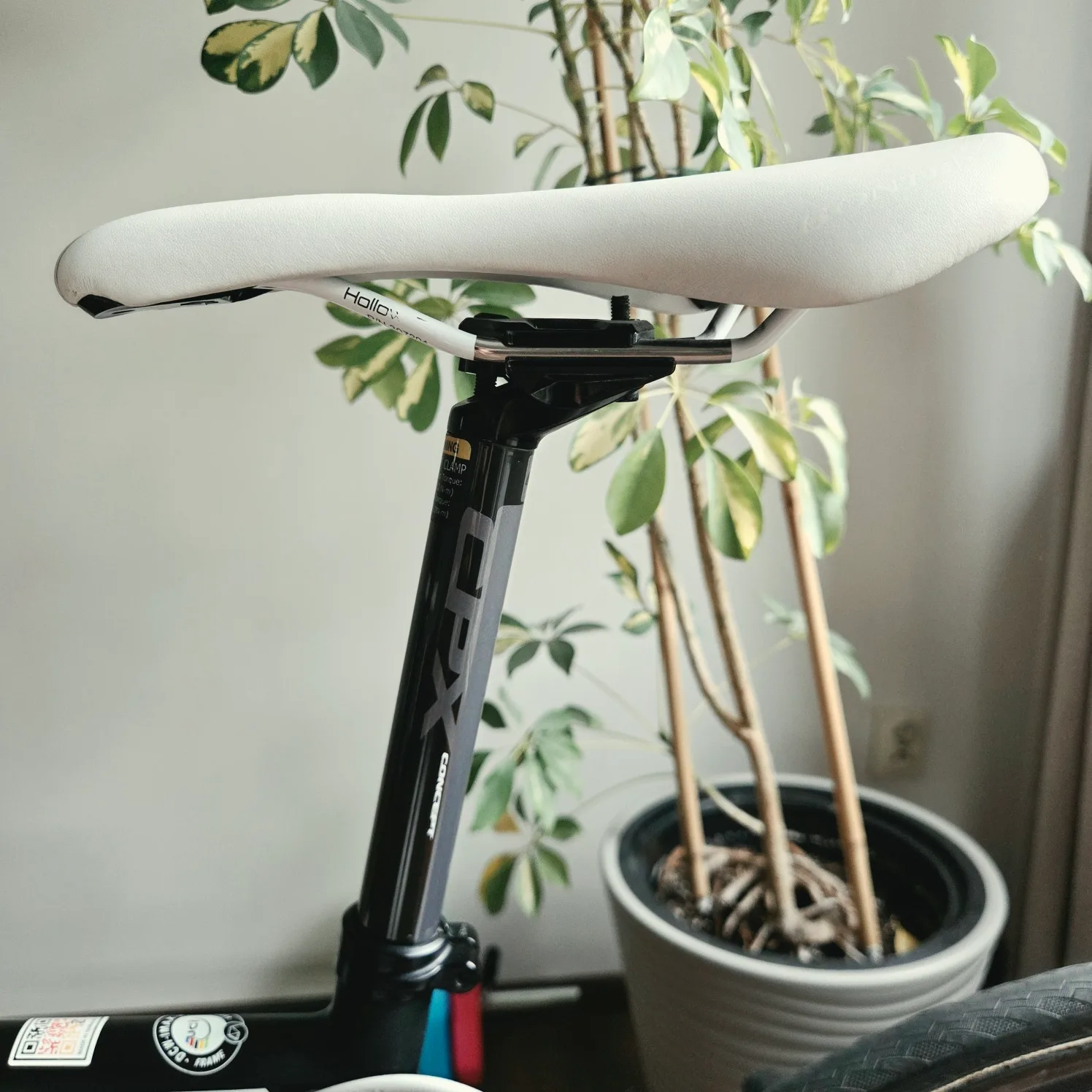 Focus Izalco Max Carbon | SRAM Red eTap 2x11 | Koła Carbon No Limited — Dodatkowe