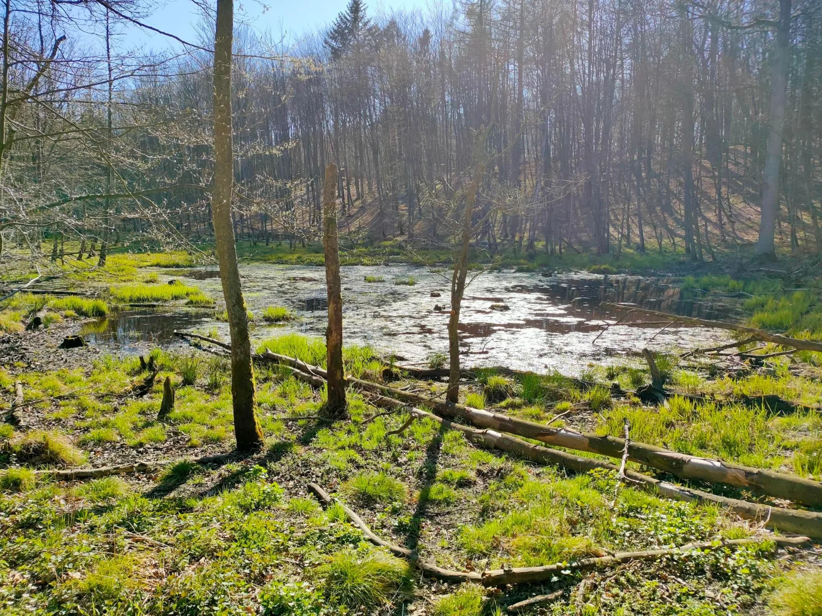 Gravelowa wymagająca pętla po TPK — trasa rowerowa, pomorskie